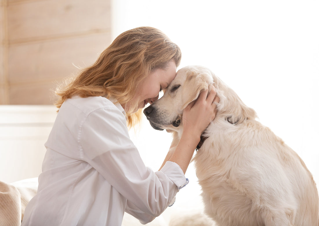 Pets + Home Fragrance