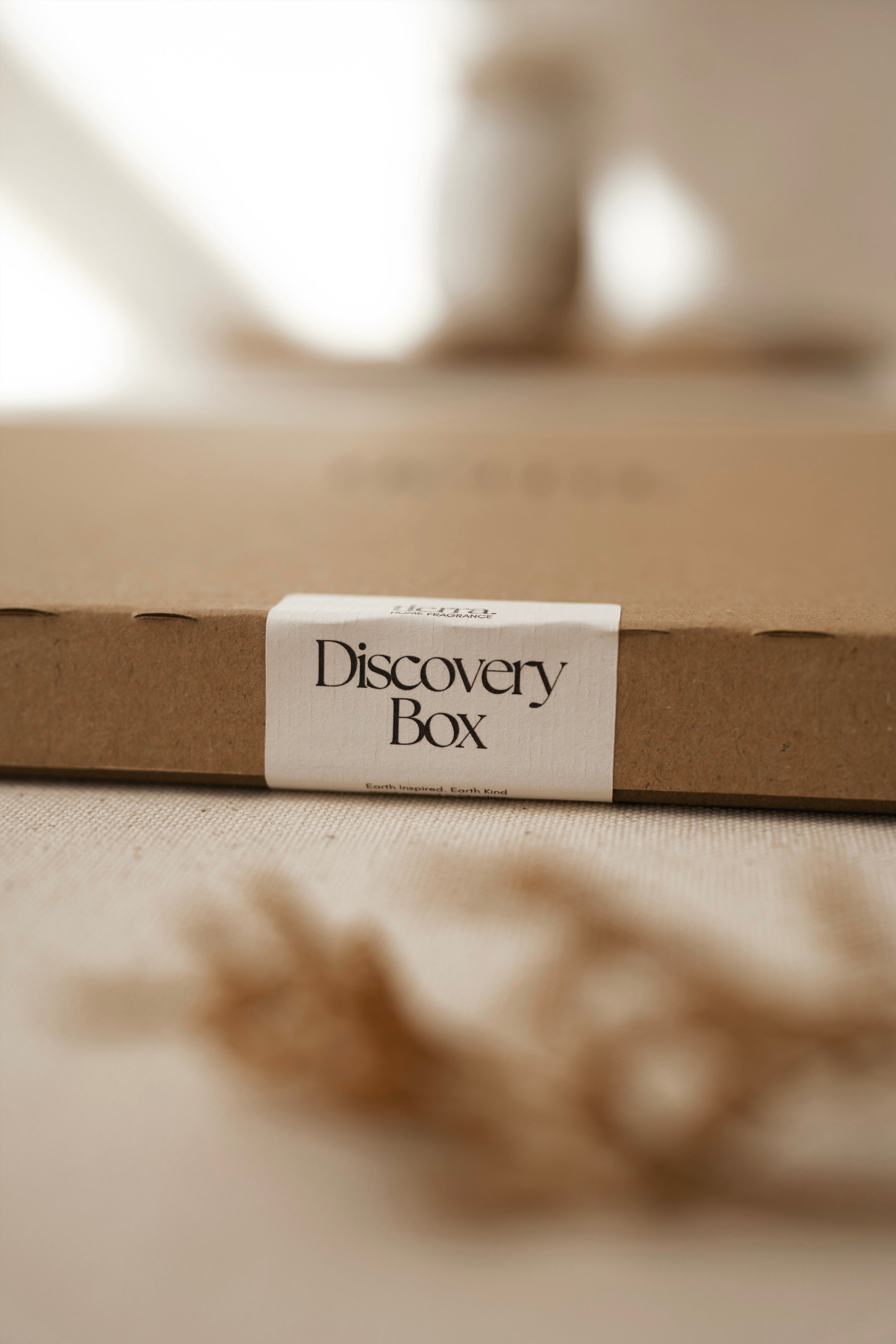 Wax Melt Spring Discovery Box