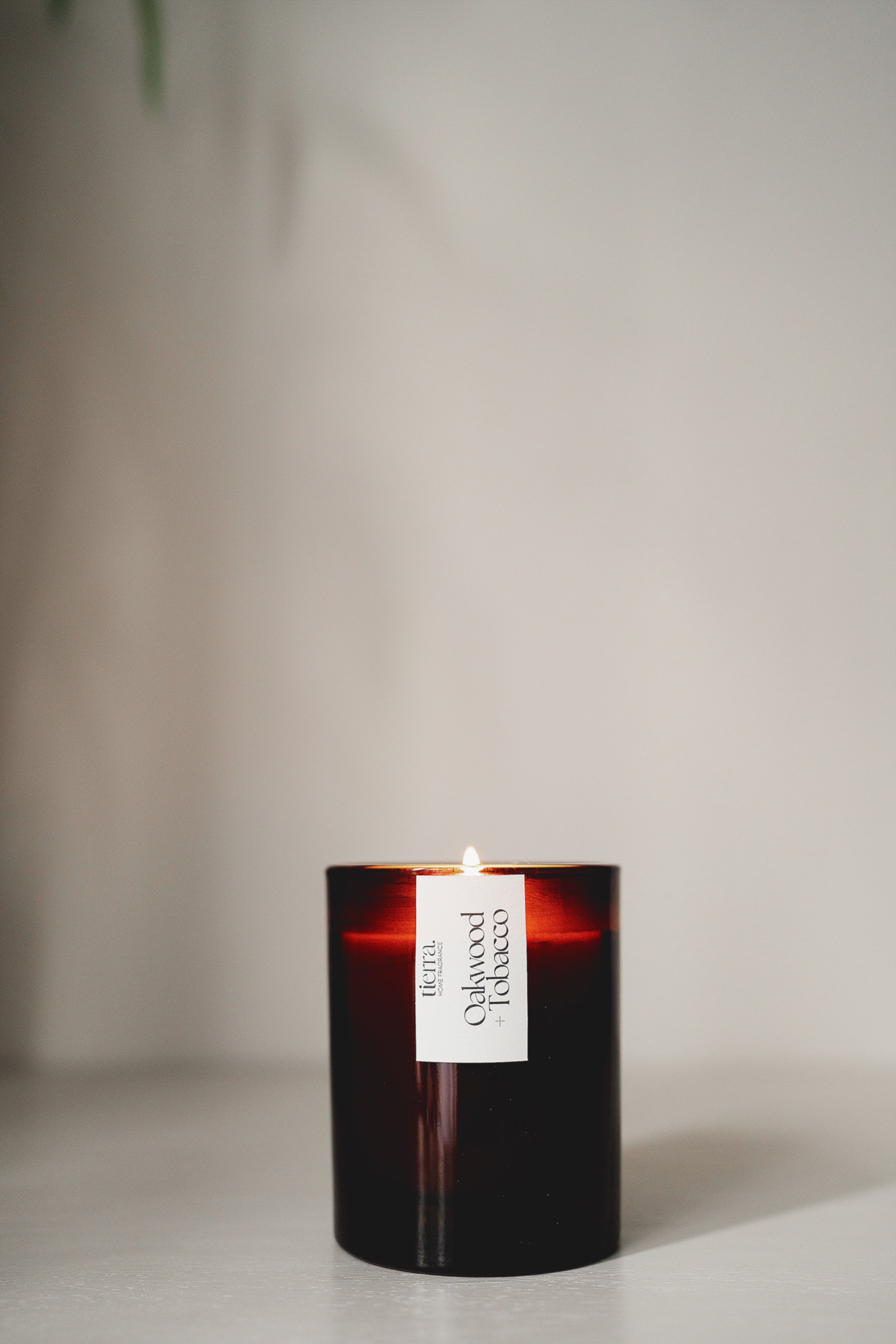 Glass Jar Oakwood + Tobacco Candle