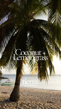 Coconut & Lemongrass Botanical Soy Wax Melts